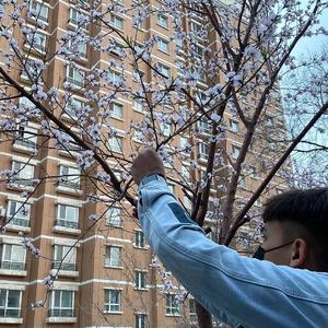 少妇与大猪ⅹⅩ
